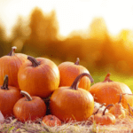 A pile of medium sized pumpkins on top of hay