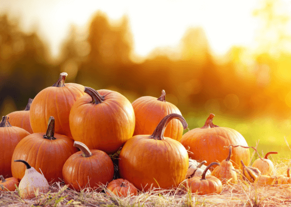 A pile of medium sized pumpkins on top of hay