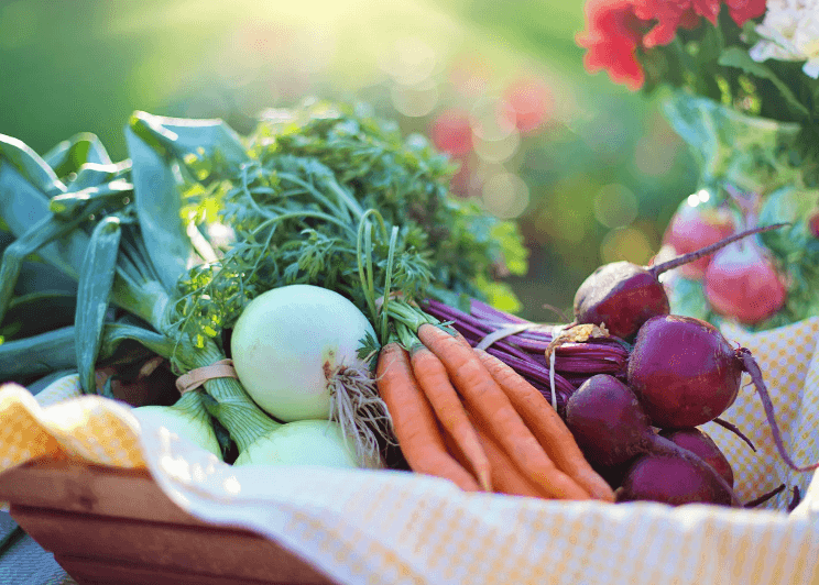 A basket lined with a towel with carrots, beets, and onions.