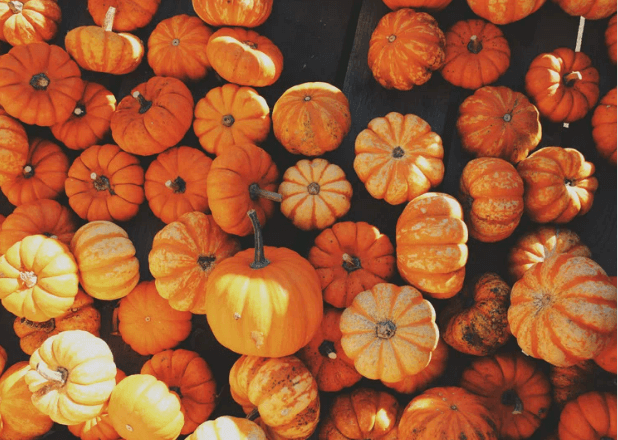 Cluster of orange mini pumpkins on a dark back drop.