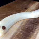 banana snake with chocolate chip eyes