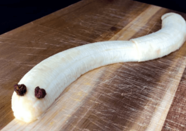 banana snake with chocolate chip eyes