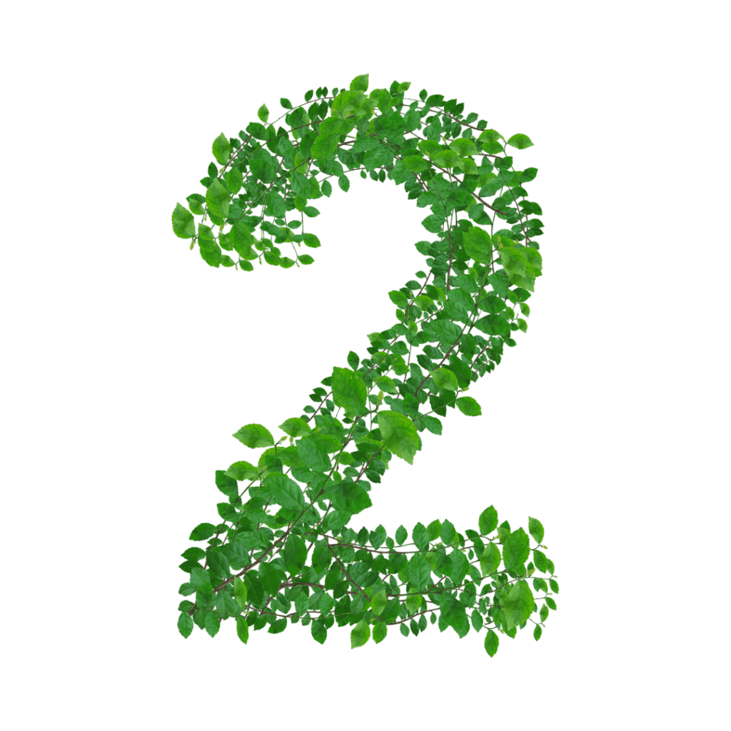 The number two created out of vines.