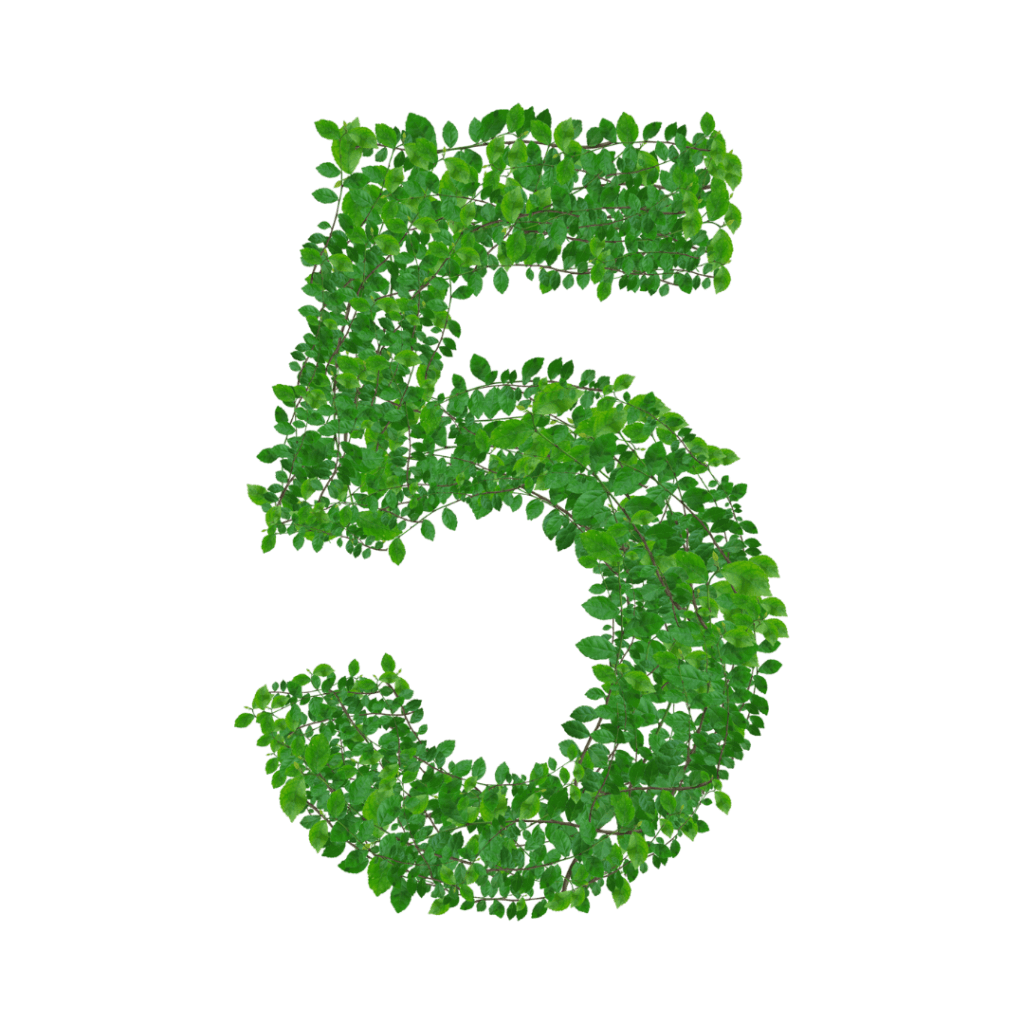 The number 5 made out of vines
