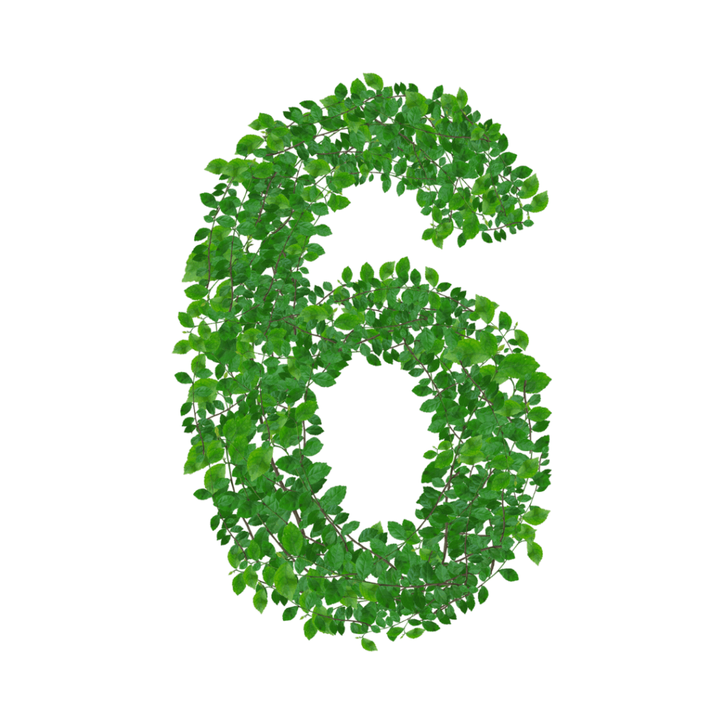 The number 6 created from vines