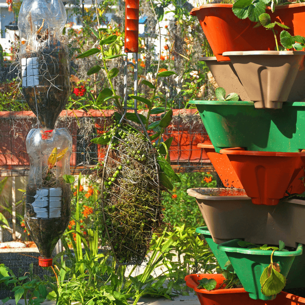 Container garden, two empty soda bottles hanging upside down filled with soil and a plant, with several planters to the right side with small leaves coming out of them. 