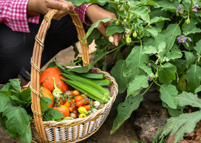 Basket of vegetables and a hand picking them