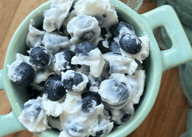 Frozen Yogurt Covered Blueberries