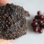 Dried Berries formed into patties in a hand