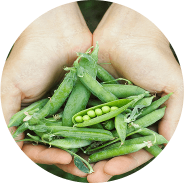 Peas